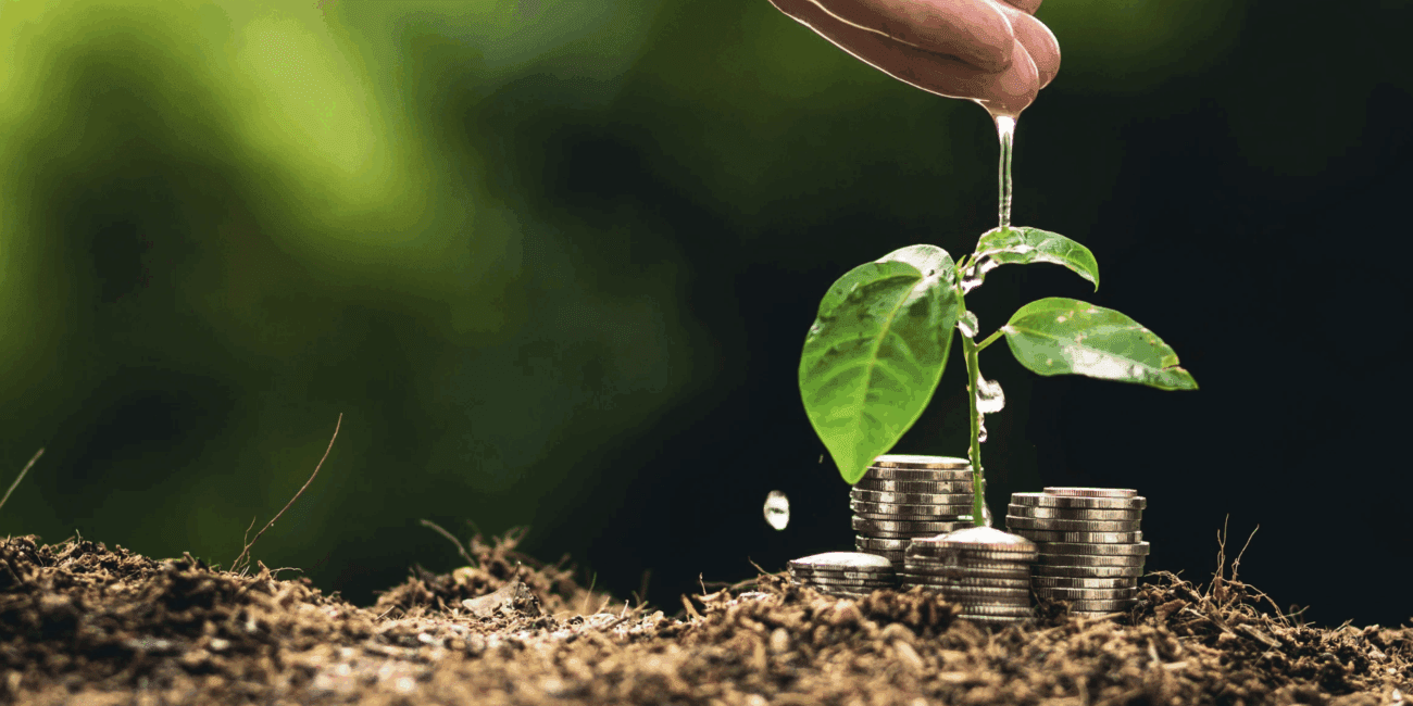 A hand waters a small plant growing on stacks of coins.