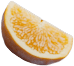 A slice of orange with detailed pulp and rind.
