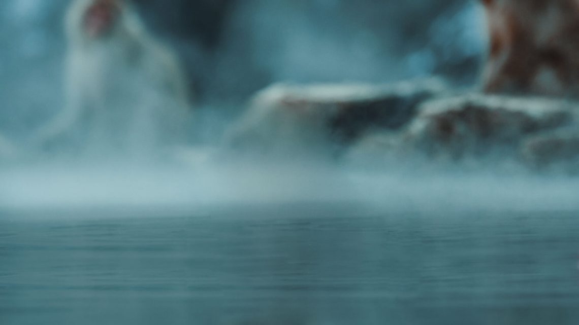 A misty lake with blurred trees in the background.